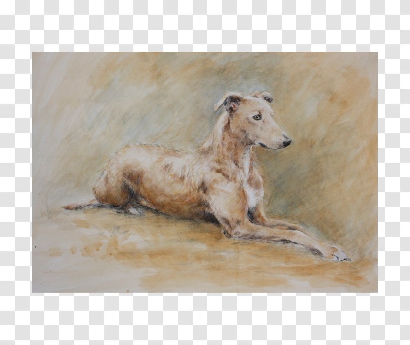 Lurcher Italian Greyhound Borzoi Whippet - Snout - Painting Transparent PNG