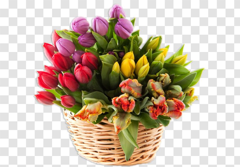 Tulip Mania Flower Bouquet Studio Urody ENeS - Plant Transparent PNG