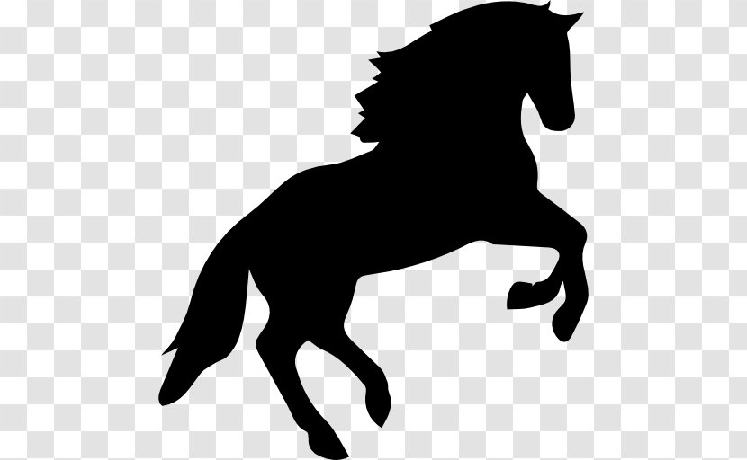 Arabian Horse Jumping Equestrian Clip Art - Show Transparent PNG