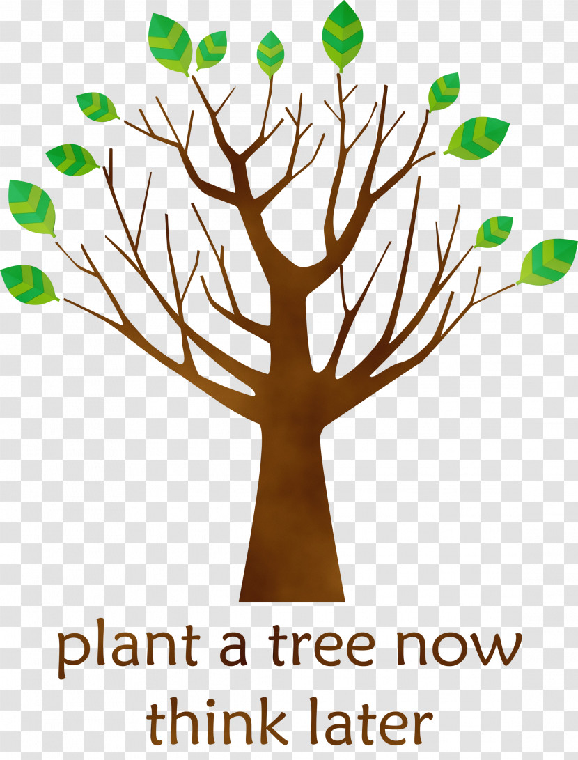Tree Leaf Branch Broad-leaved Tree Plant Stem Transparent PNG