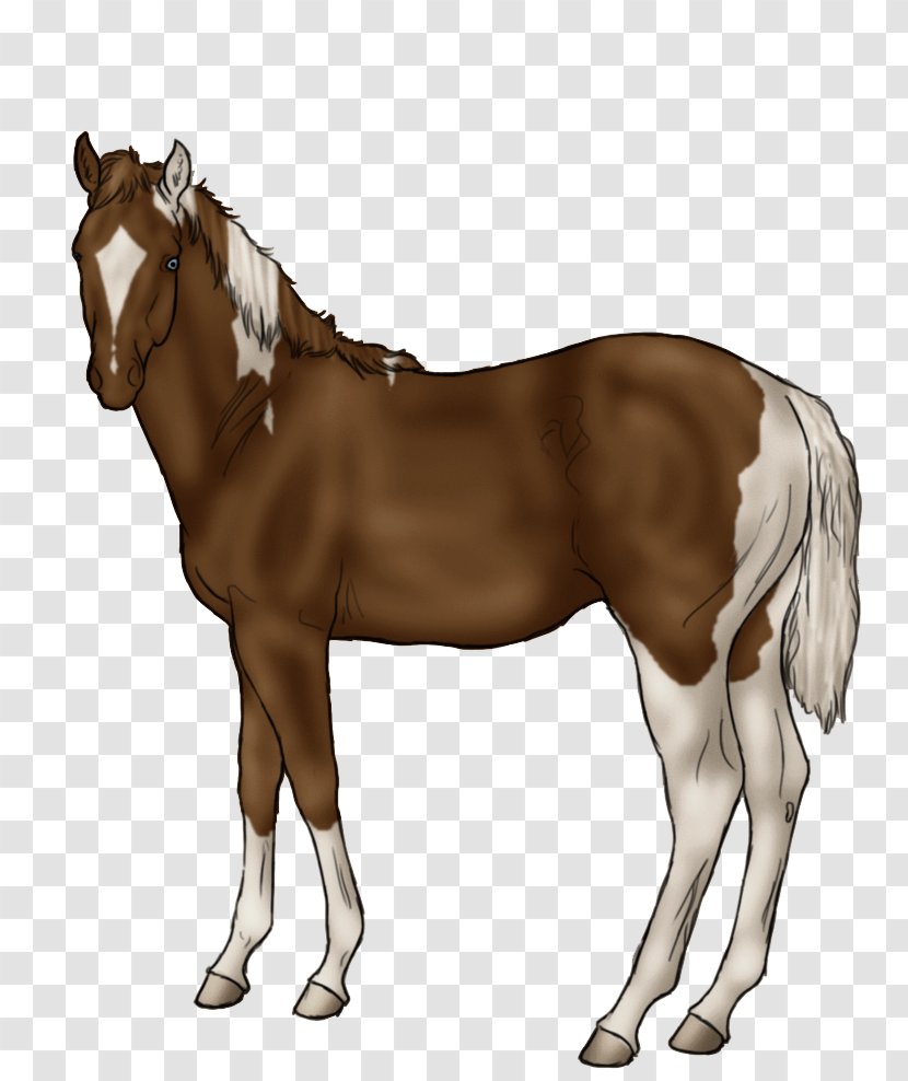 Mane Horse Foal Stallion Rein - Bit Transparent PNG