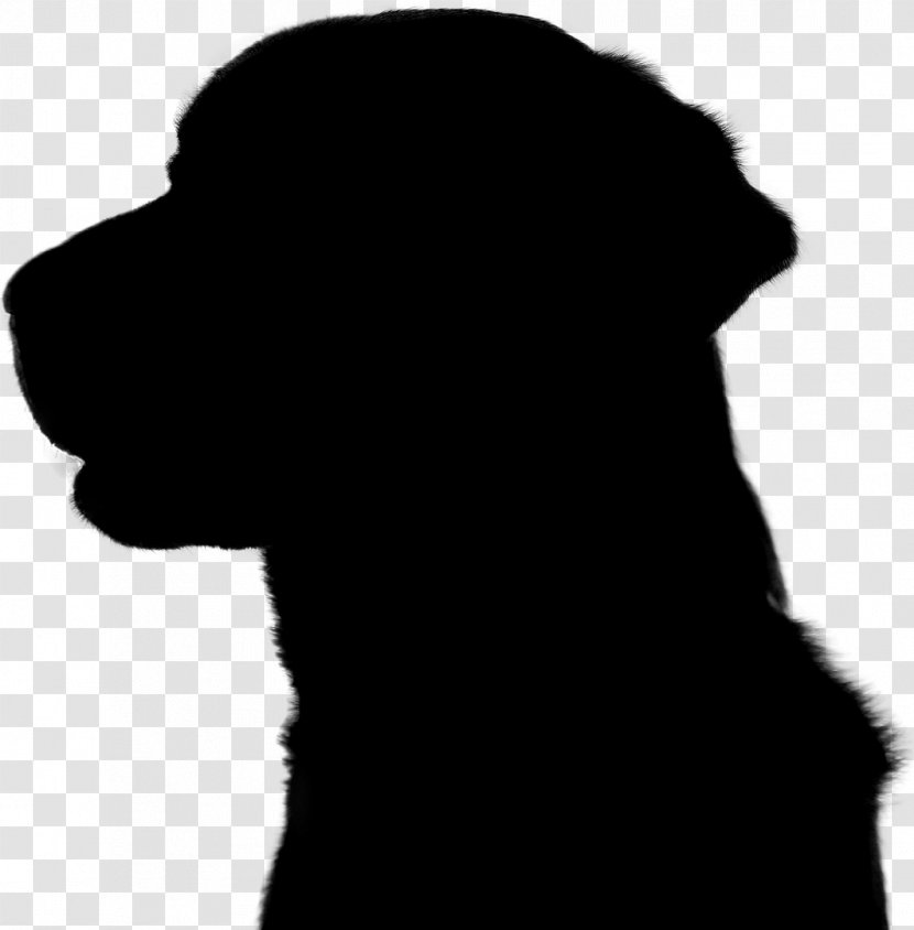 Dog Breed Puppy Snout Silhouette - Black M Transparent PNG