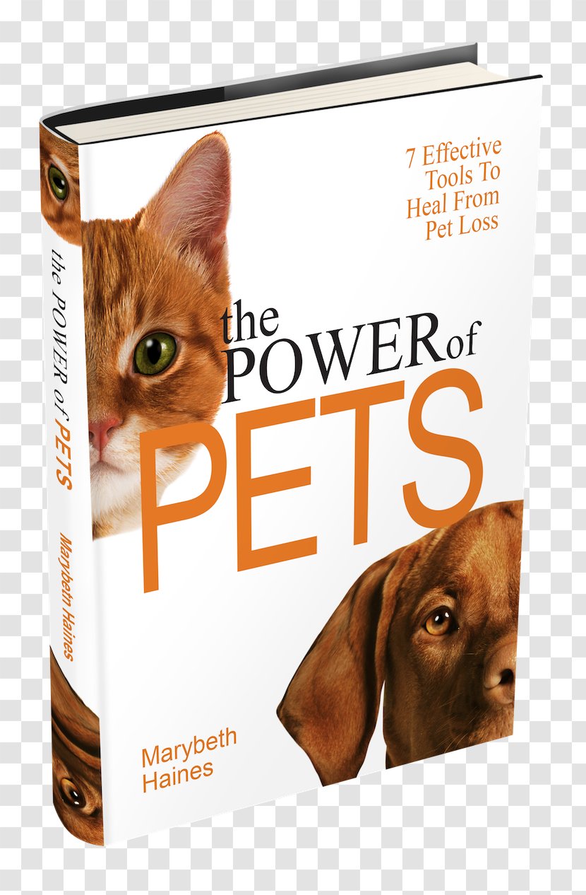 Dog Kitten Cat Whiskers Book - Animal Transparent PNG