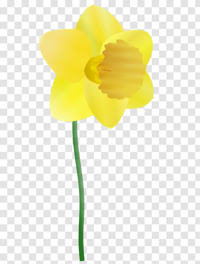 Daffodil Clip Art - Public Domain - Cartoon Transparent PNG