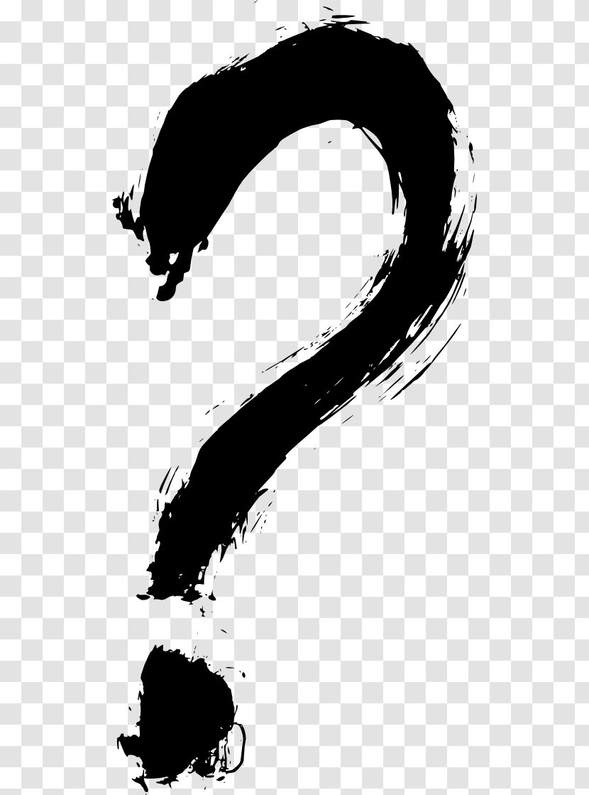 Question Mark Drawing - Monochrome - QUESTION MARK Transparent PNG