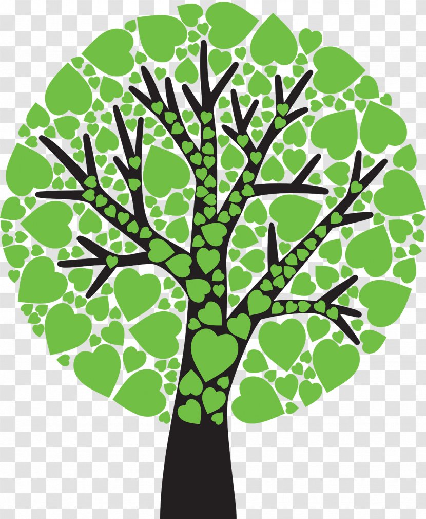 Fruit Tree - Leaf - Family Transparent PNG