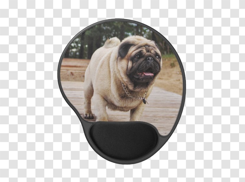 Pug Puppy Dog Breed Pet Key Chains - Toy Transparent PNG