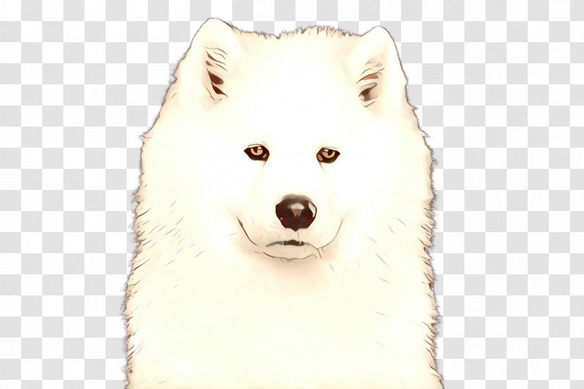 Dog Samoyed Spitz Canadian Eskimo Dog Japanese Spitz Transparent PNG