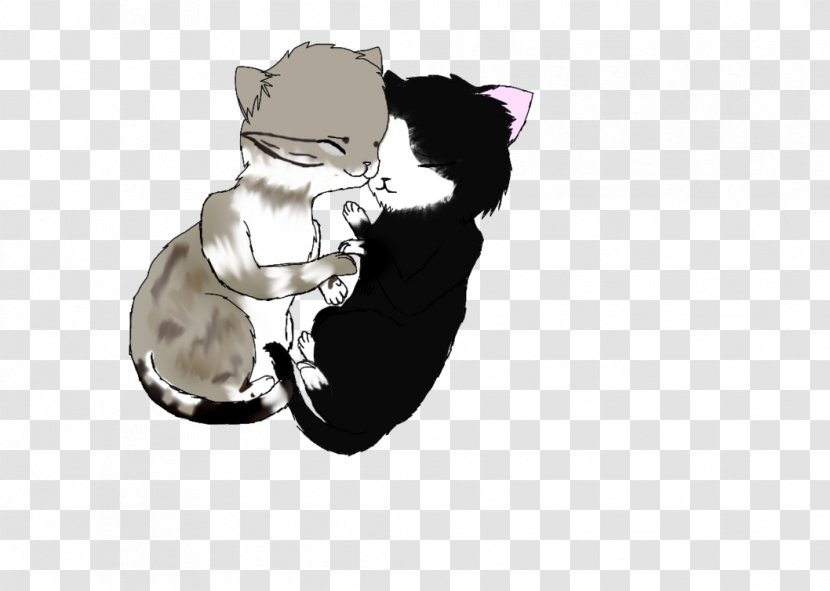 Kitten Whiskers Cat Fur Canidae Transparent PNG