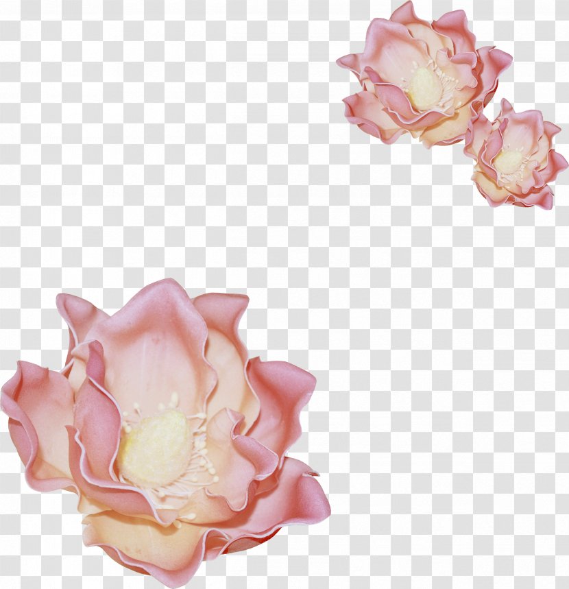 Garden Roses Flower Handkerchief Clip Art - Rose Transparent PNG