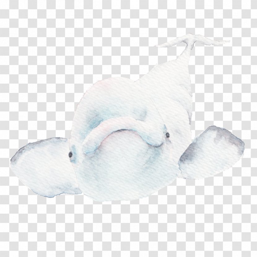 Hulk - Ducks Geese And Swans - Silly Dolphin Transparent PNG