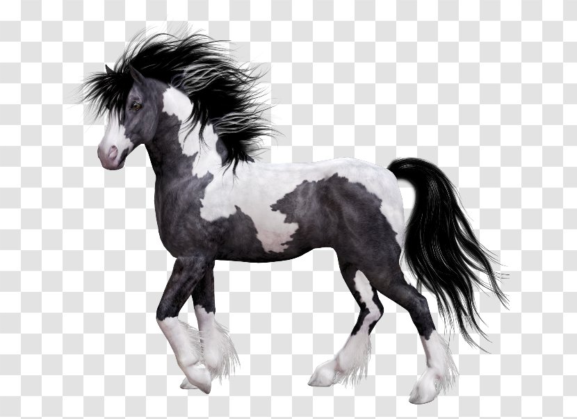 Horse Mane Pony Clip Art - Livestock Transparent PNG