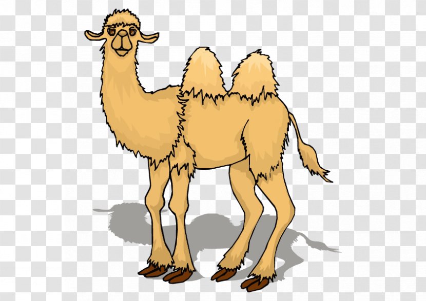 Camel Animation Cartoon Clip Art - Vector Transparent PNG