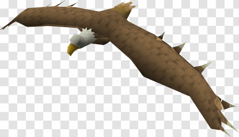RuneScape Bird Eagle Wiki Non-player Character Transparent PNG