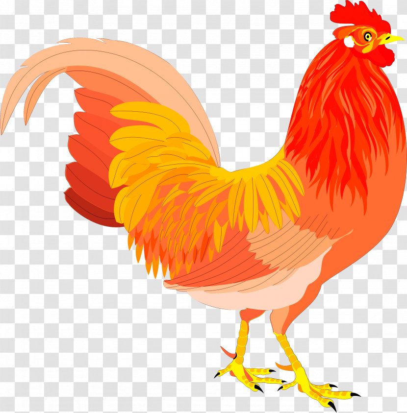 Chicken Rooster Clip Art Bird - Wing Transparent PNG