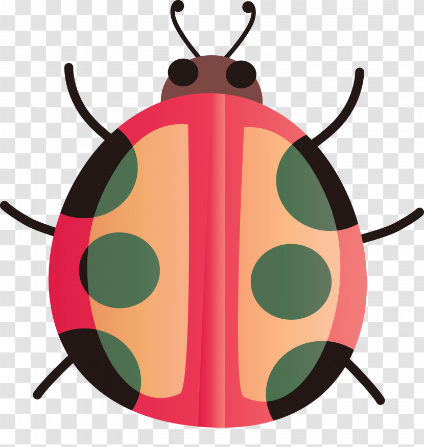 Insect Jewel Bugs Transparent PNG