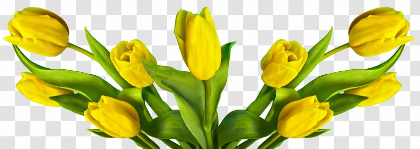 Cut Flowers Easter Bunny Flower Bouquet - Bud - Tulip Transparent PNG