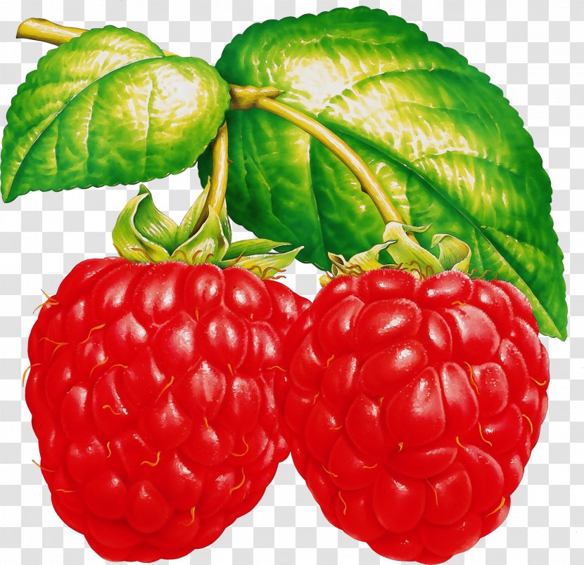 Strawberry - Frutti Di Bosco - Loganberry Seedless Fruit Transparent PNG