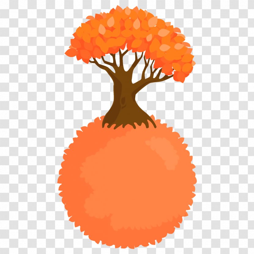 Orange - Pompom Transparent PNG