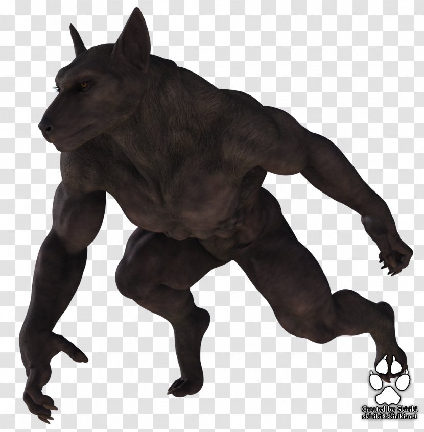 Gray Wolf Werewolf DAS Productions Inc Lycaon - Poser Transparent PNG