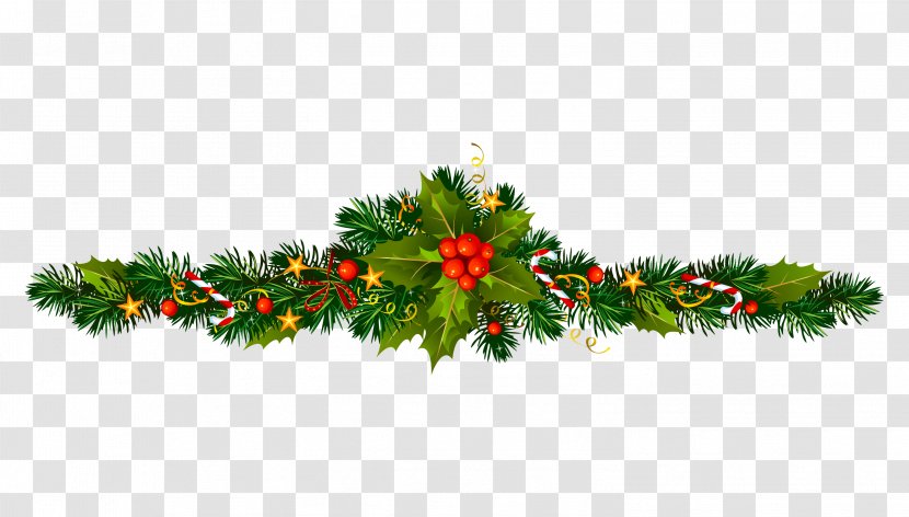 Christmas Grass Used - Holly - Card Transparent PNG