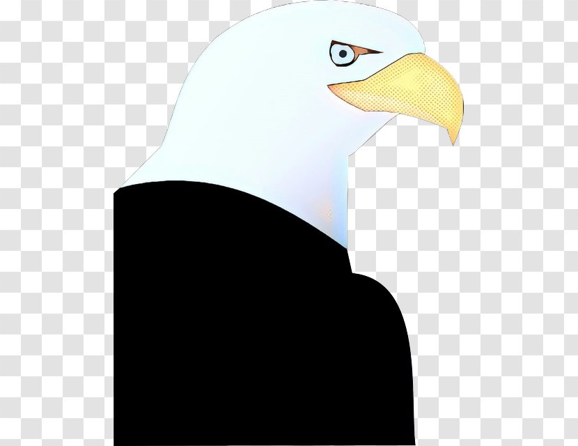 Bald Eagle Beak Neck Transparent PNG