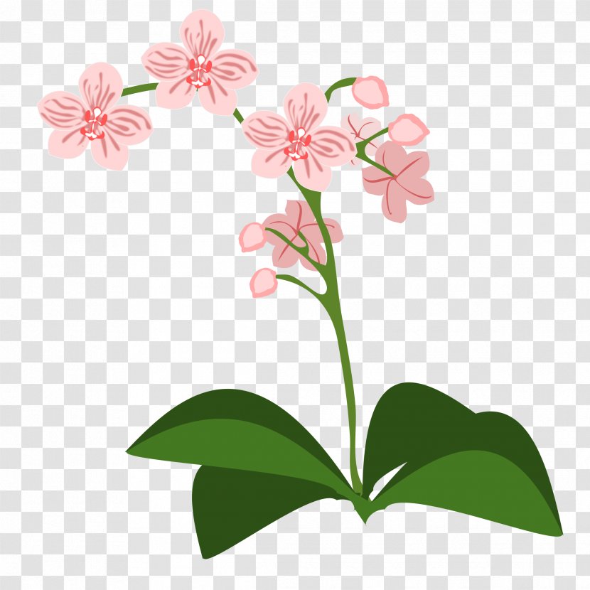 Clip Art Orchids Openclipart Free Content - Pink - Vines Transparent PNG