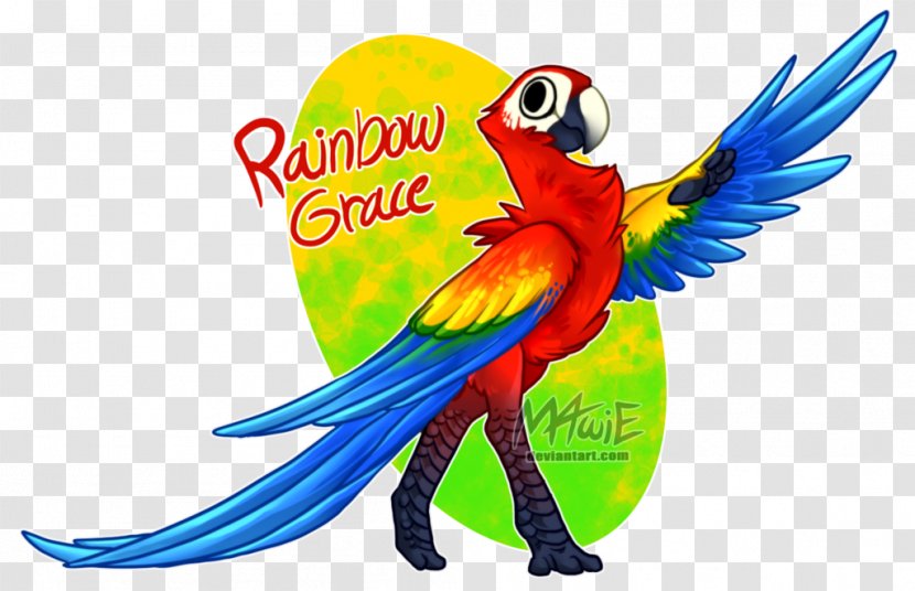 Macaw Parrot Beak Feather - Art Transparent PNG