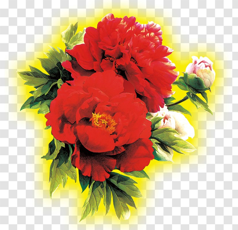 Floral Design Chrysanthemum Flower Transparent PNG