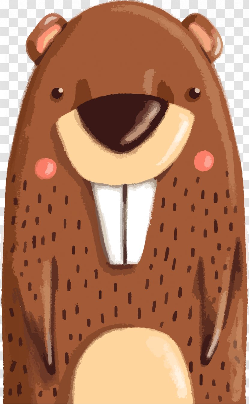 North American Beaver Drawing Euclidean Vector Illustration - Hand-drawn Cartoon Animals Transparent PNG