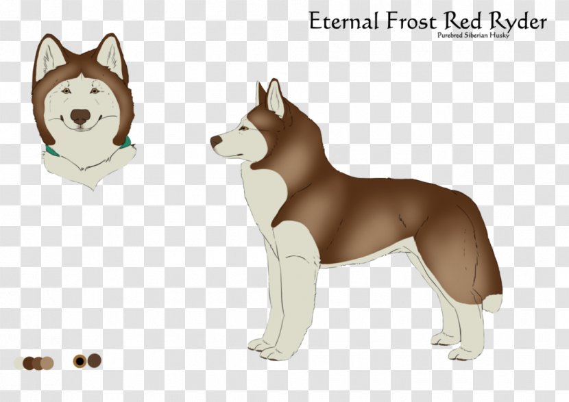 Siberian Husky Dog Breed Sakhalin Shikoku Puppy - Non Sporting Group - Attention Seeker Transparent PNG