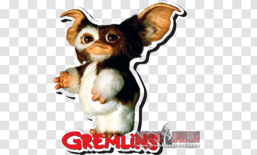 Gizmo Craft Magnets Refrigerator YouTube National Entertainment Collectibles Association - Carnivoran - Youtube Transparent PNG
