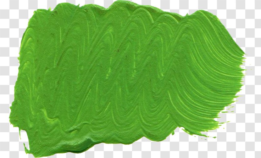 Paintbrush - Grass - Paint Stroke Transparent PNG