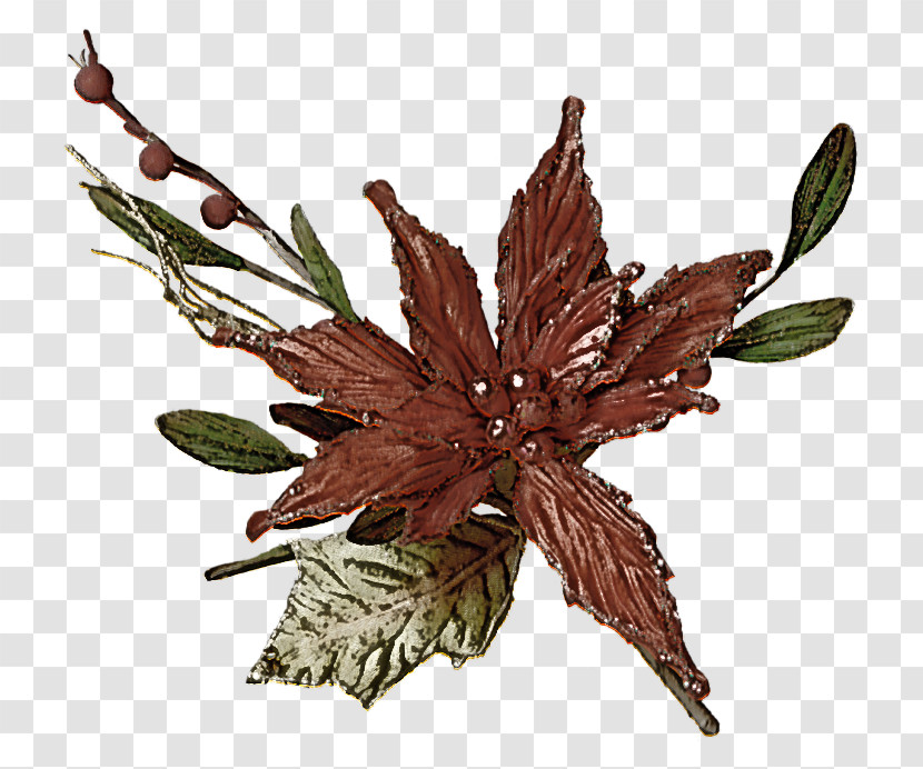 Leaf Twig Flower Plant Structure Science Transparent PNG