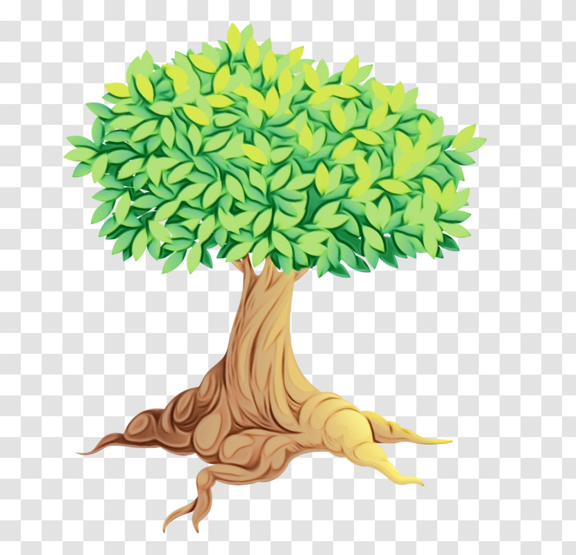 Royalty-free Tree Vector Drawing Transparent PNG