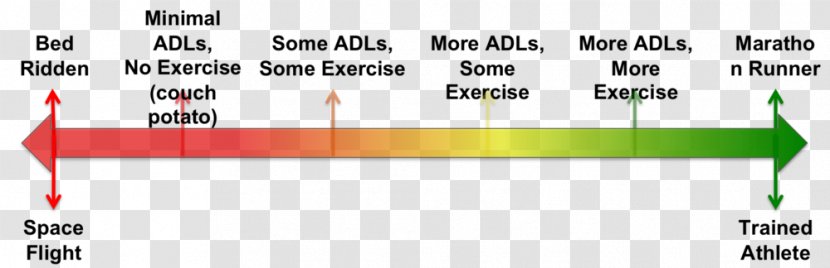 Energy Balance Nutrition Consulting LLC Exercise Diet Homeostasis Health - Diagram - A Balanced Transparent PNG