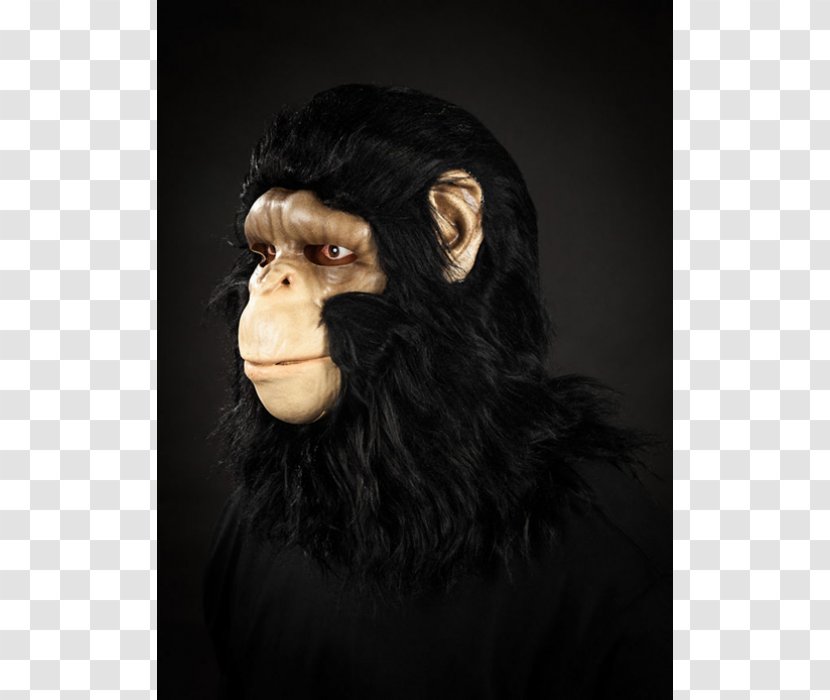 Common Chimpanzee Gorilla Monkey Mask Mysticum.cz - Quality - Maska Transparent PNG