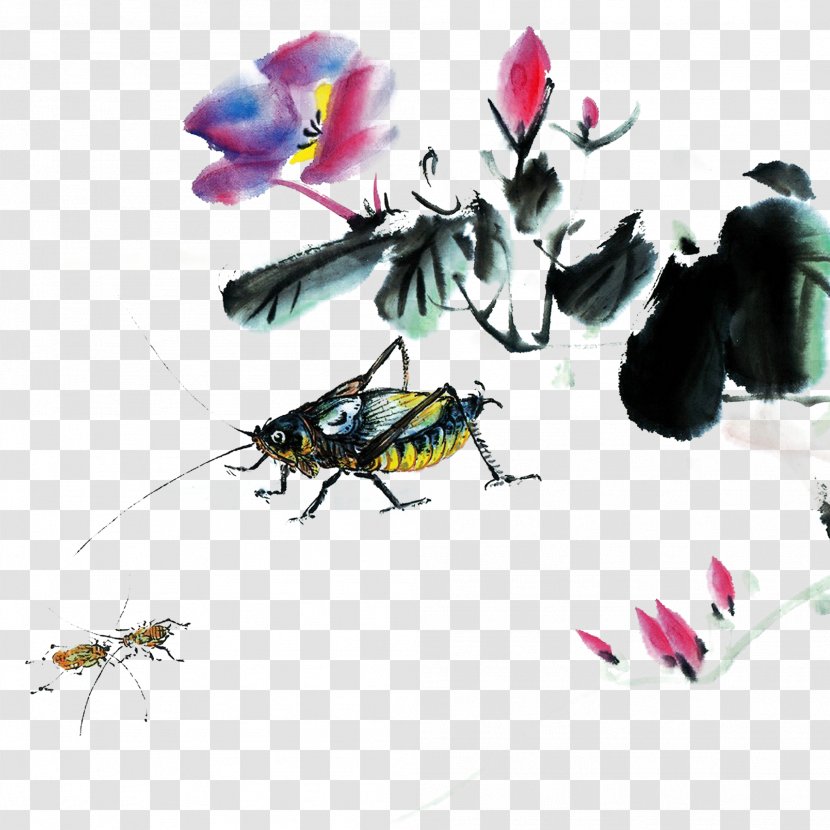China Chinese Painting - Grasshopper Day Transparent PNG