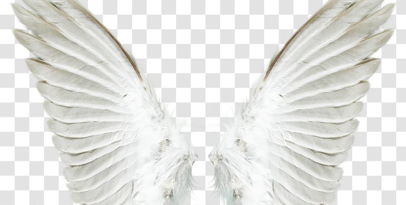 Guardian Angel God Bible Fairy - Beak Transparent PNG