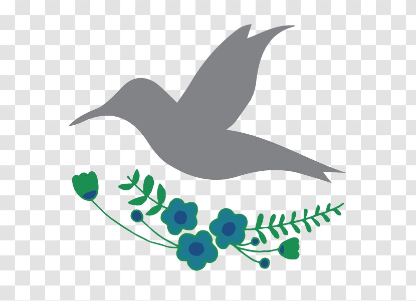 Ducks, Geese And Swans & Cauliflower Beak Recipe - Hummingbird - Humming Pictogram Transparent PNG