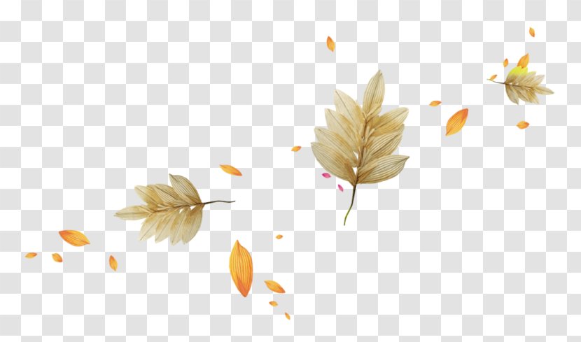 Autumn Leaves Light Leaf Transparent PNG