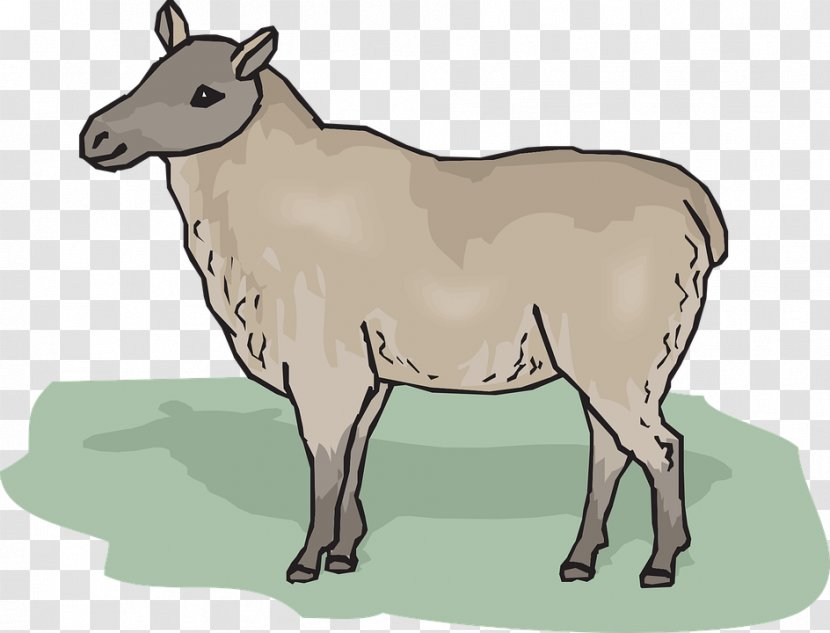 Eid Al Adha Islamic Background - Cheviot Sheep - Fawn Bovine Transparent PNG