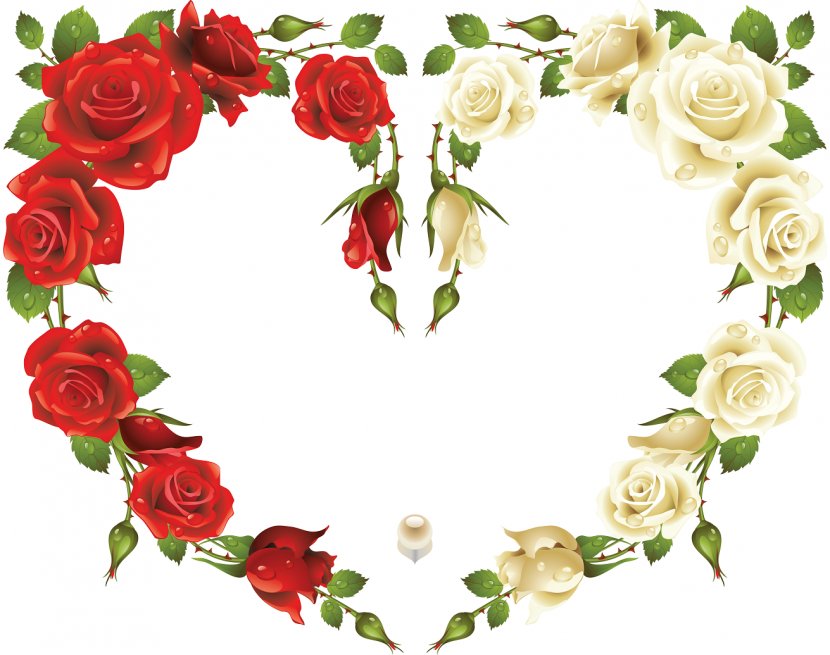 Rose Picture Frames Stock Photography - 8 Transparent PNG