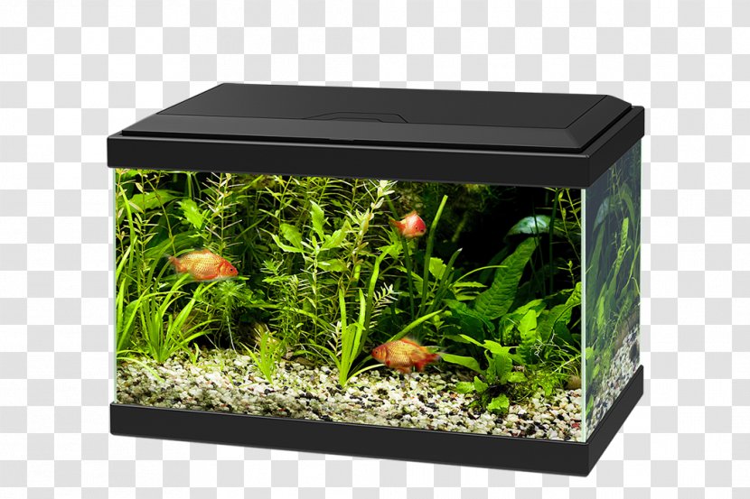 Light-emitting Diode Aquarium Filtration Glass - Light Transparent PNG