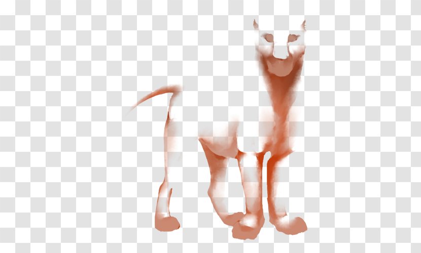 Cat Mammal Arm Carnivora Dog - Watercolor - Pruning Transparent PNG