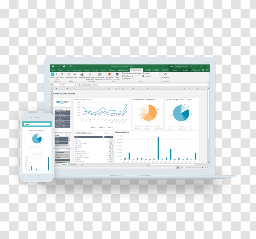 Computer Software Report One Microsoft Excel Business Reporting Pilotage - Standardization Transparent PNG