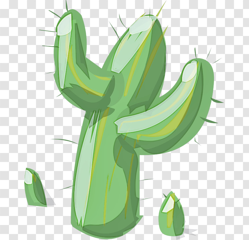 Cactus Transparent PNG