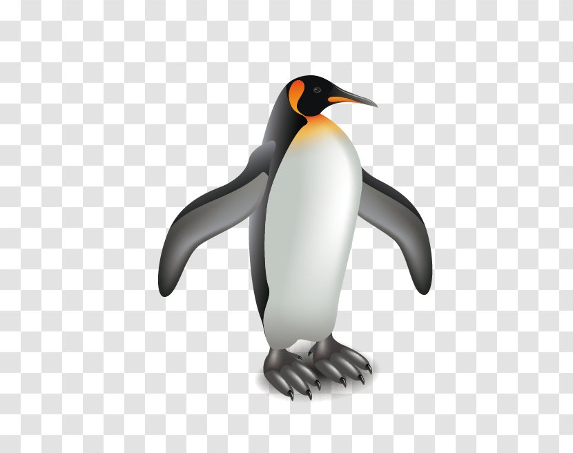 King Penguin Illustration - Royaltyfree Transparent PNG