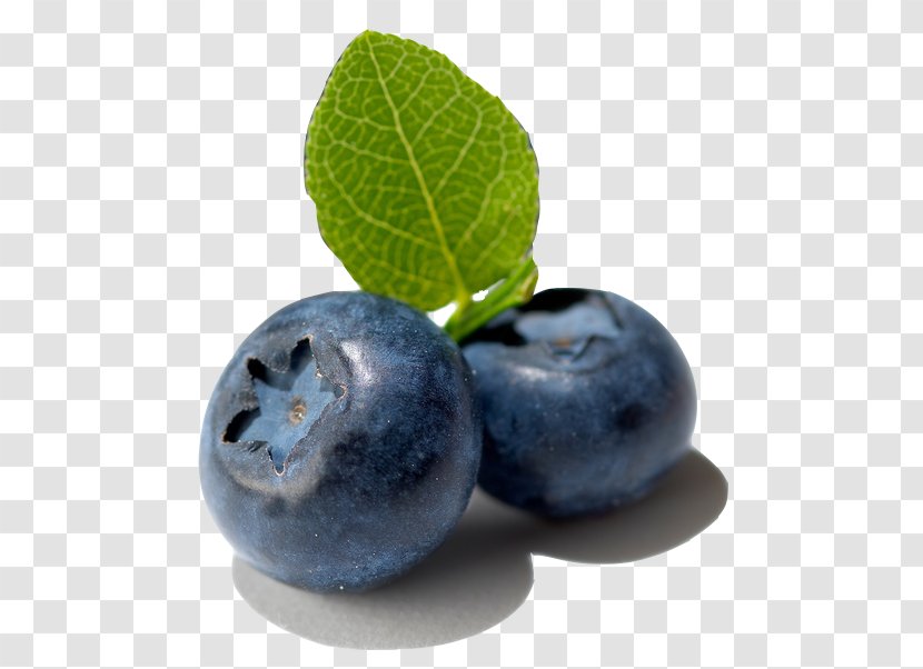 Bilberry Fruit European Blueberry - Juniper Berry - Jam Transparent PNG