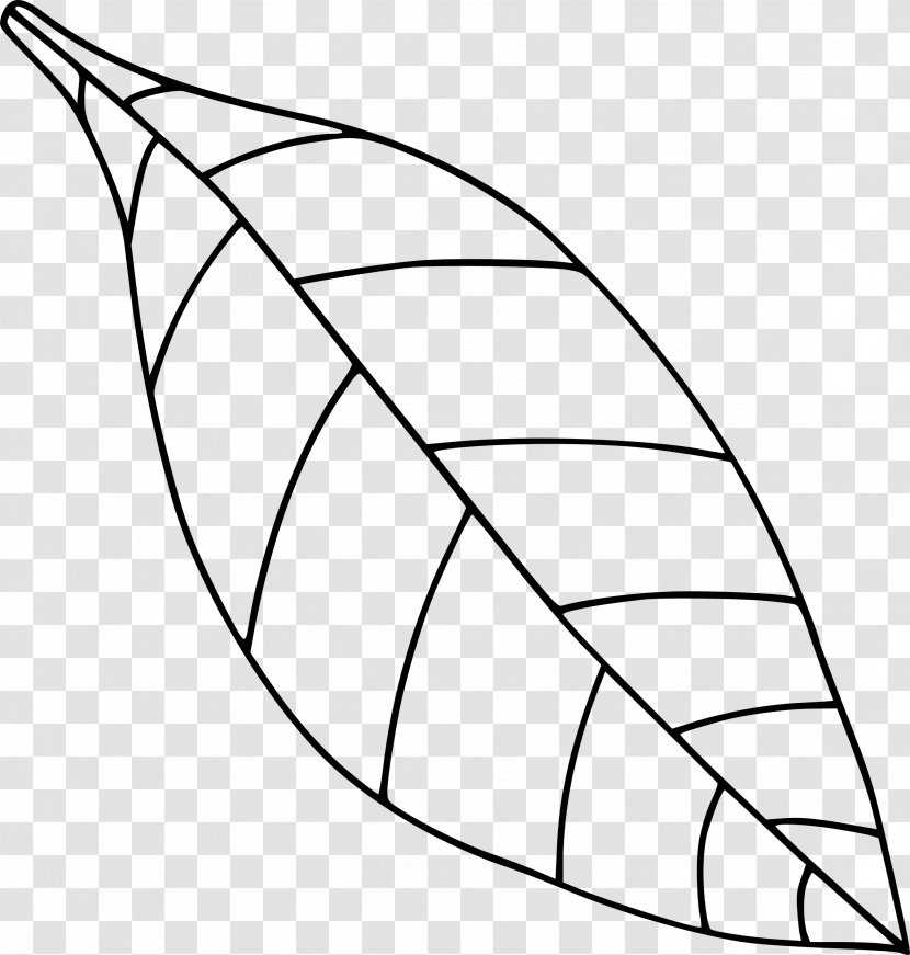 Tree Leaf Drawing Clip Art - Monochrome - Black Transparent PNG